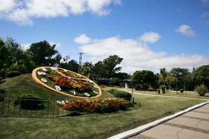 Reloj de Flores