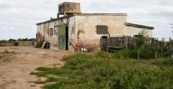 Ex Fábrica Láctea