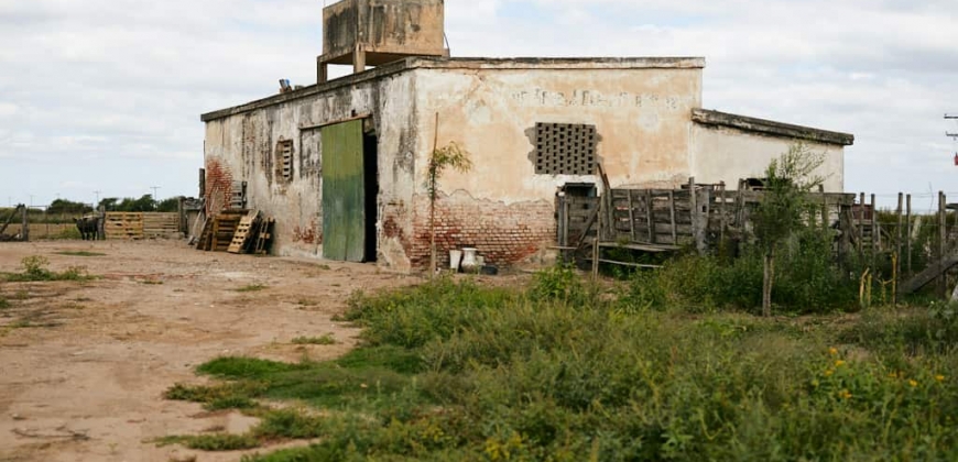 Ex Fábrica Láctea