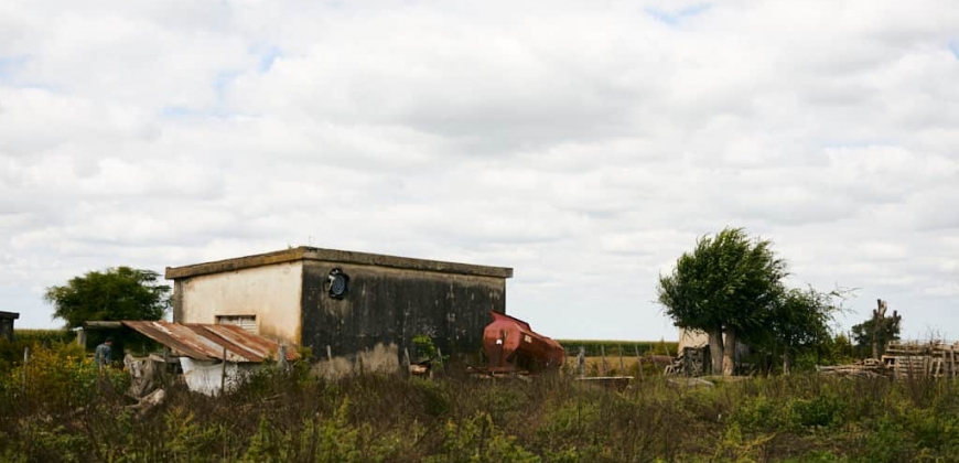 Ex Fábrica Láctea