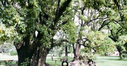 Estancia “Yucat”