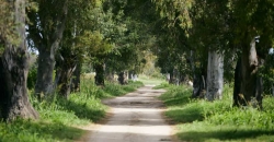 Estancia “Yucat”
