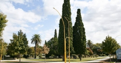 Plaza “San Martín”