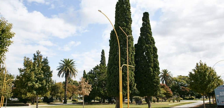 Plaza “San Martín”