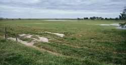 Estancia “La Alejandra”