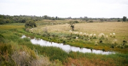 Balneario y Costanera