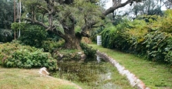 Estancia “La Carmen”