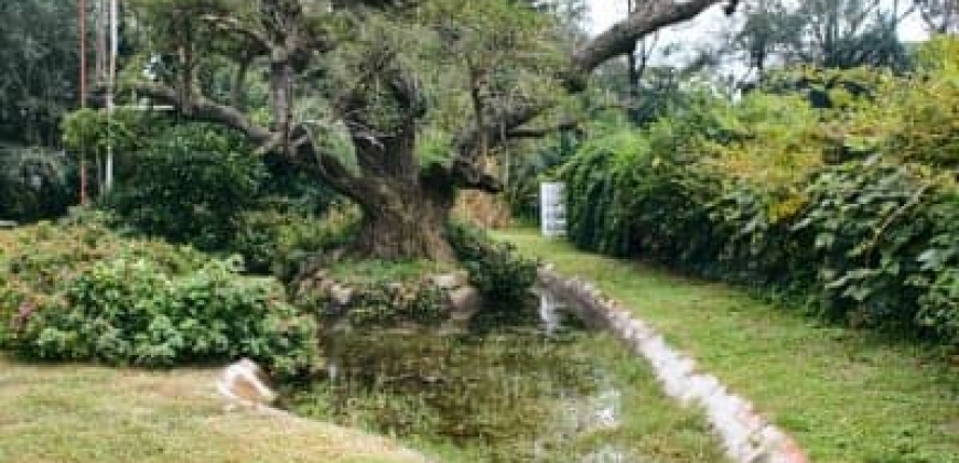 Estancia “La Carmen”