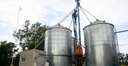 Fábrica de Alimentos Balanceados