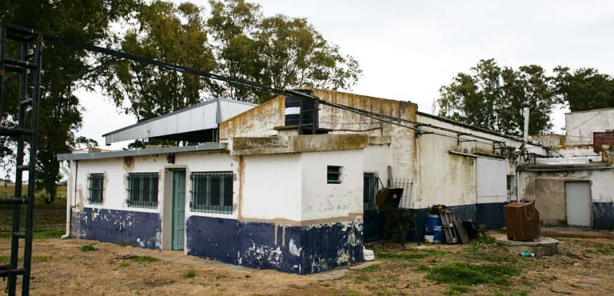 Fábrica Abandonada