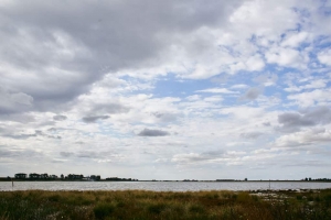 Laguna
