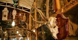 Museo