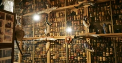 Museo