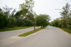 Avenida Barrios Privados
