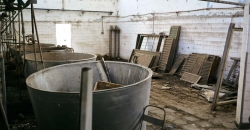 Fábrica Abandonada