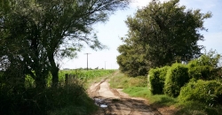 Camino