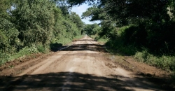 Camino
