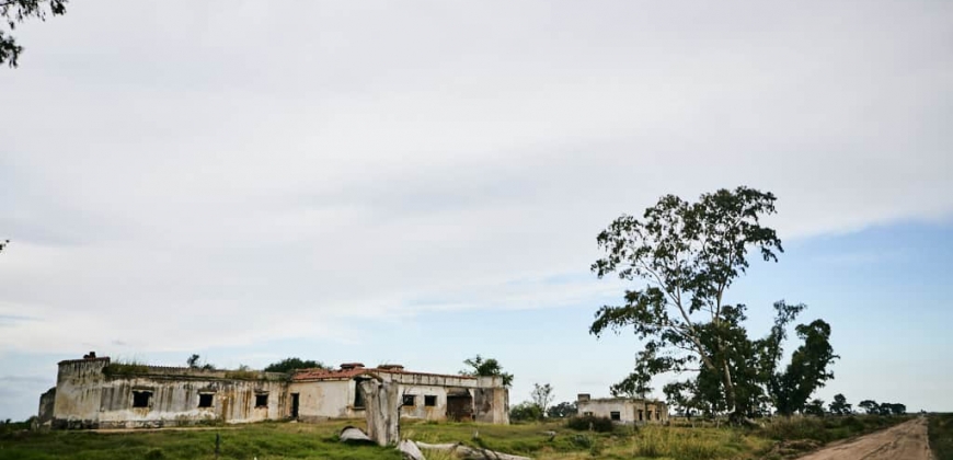 Fábrica Abandonada