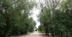 La Rinconada