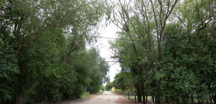 La Rinconada