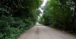 La Rinconada
