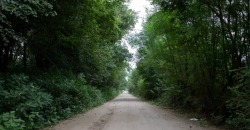 La Rinconada