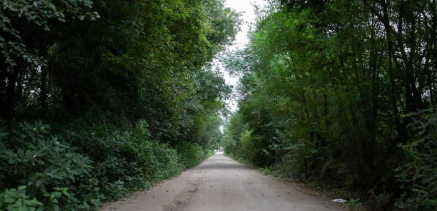 La Rinconada