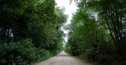 La Rinconada