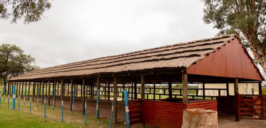 Polideportivo