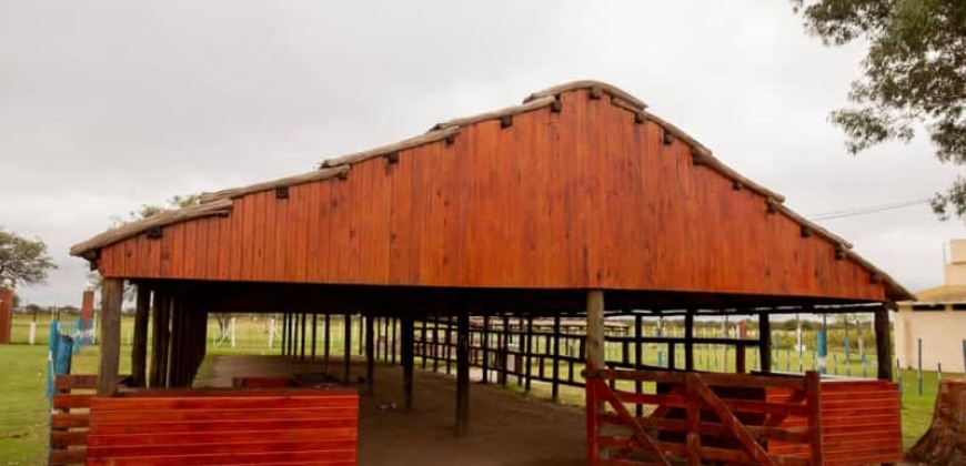 Polideportivo