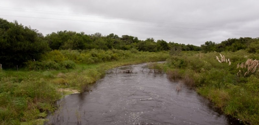 Arroyo Algodón