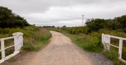 Arroyo Algodón