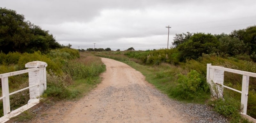 Arroyo Algodón