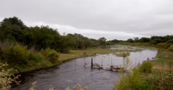 Arroyo Algodón