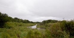 Arroyo Algodón