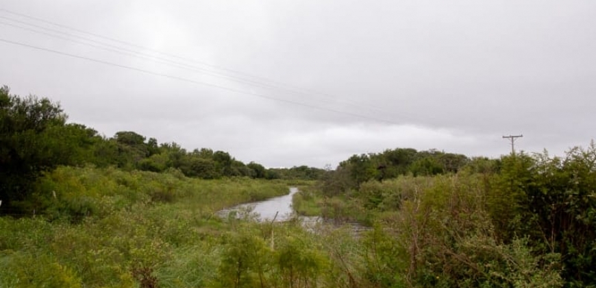 Arroyo Algodón