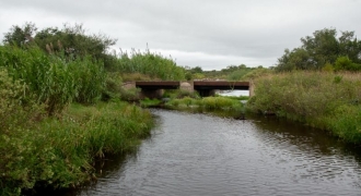 Arroyo Algodón