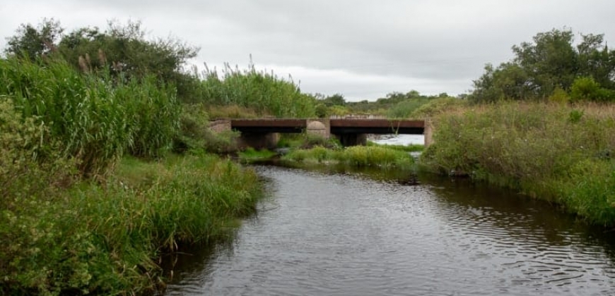 Arroyo Algodón