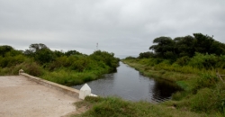 Arroyo Algodón