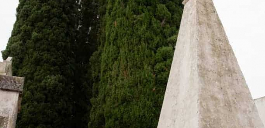 Cementerio Morrison