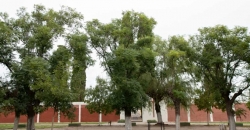 Cementerio Morrison