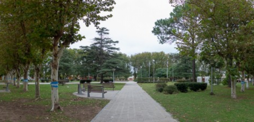 Plaza “San Martín”