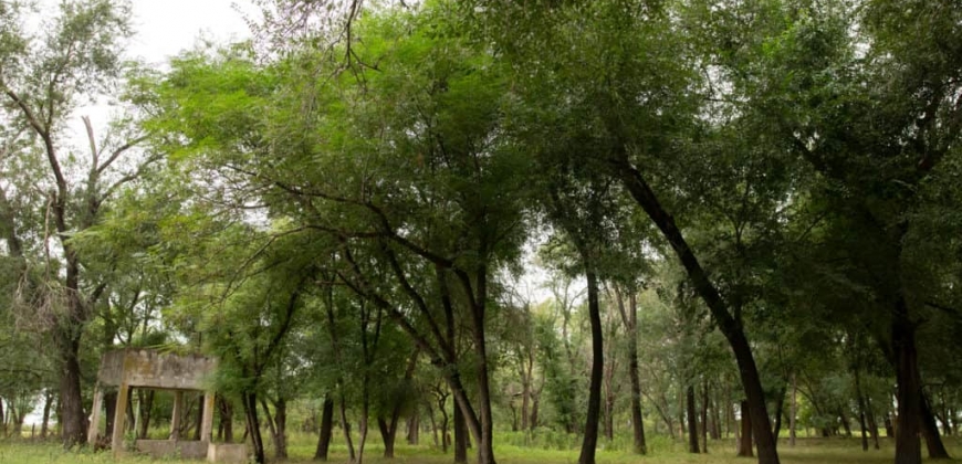 Fazenda de la Esperanza “San José”
