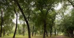 Fazenda de la Esperanza “San José”