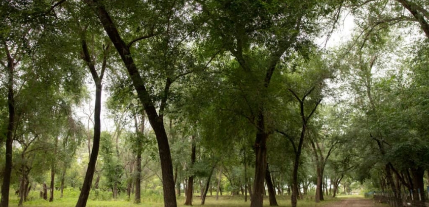 Fazenda de la Esperanza “San José”
