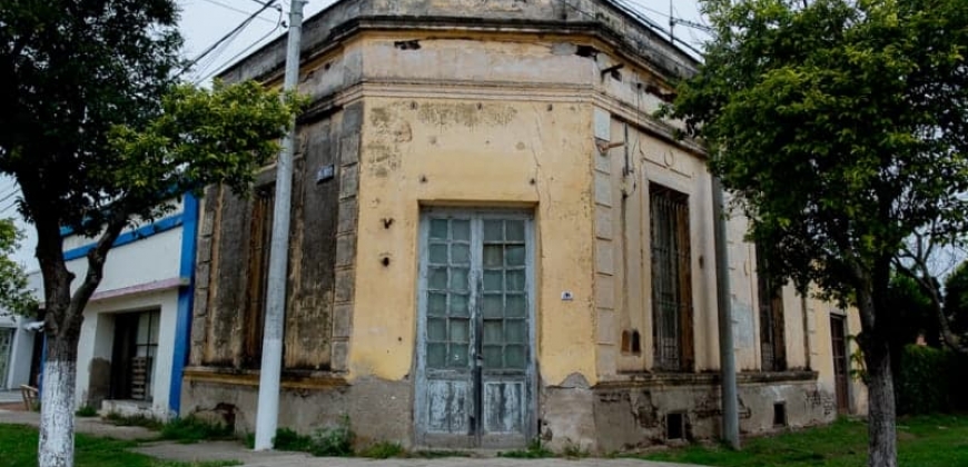 Ex Oficina
