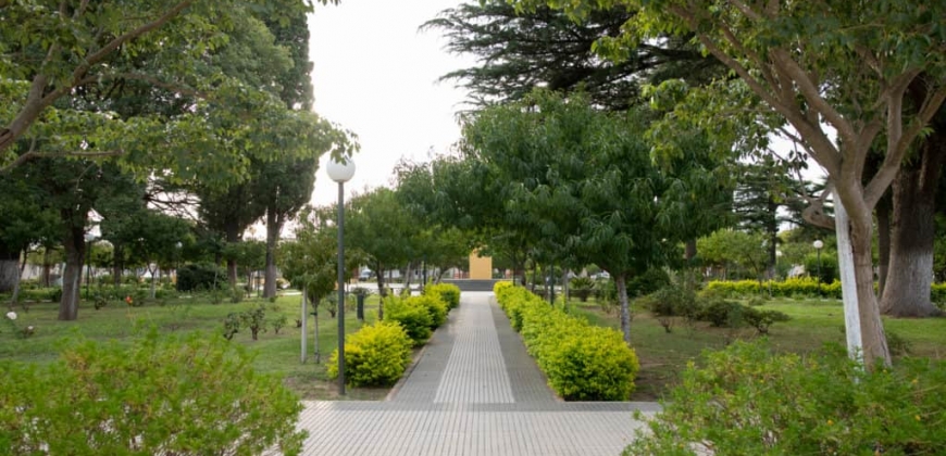 Parroquia “Cristo Rey” y Plaza