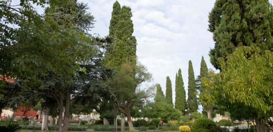 Parroquia “Cristo Rey” y Plaza