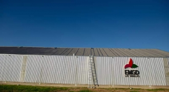 Escuela Municipal de Gimnasia Deportiva