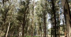 Tanque de Agua